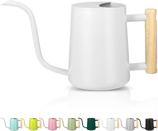 Watering Can Indoor Plants, 35oz Small Stainless Steel Metal Watering Can Modern Decorative Watering Pot with Long Spout for Indoor House Plant Bonsai Outdoor Garden Flowers -White