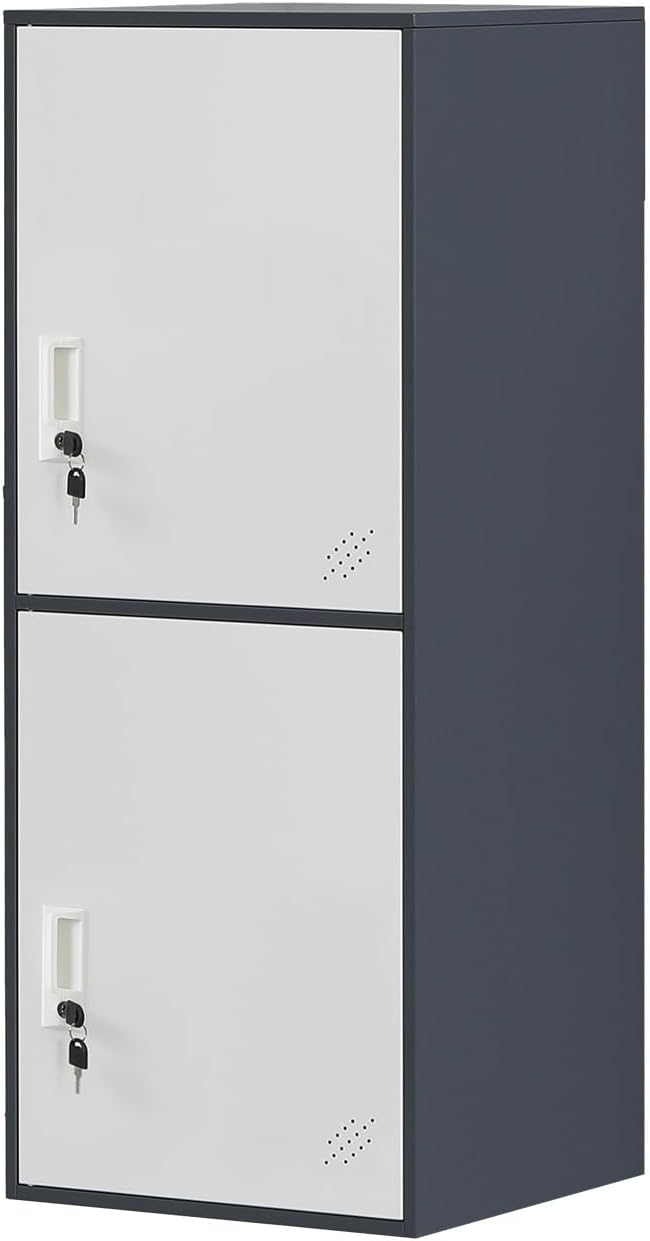2 Door Metal Storage Locker Cabinet for Office, Home, Gym, School, Steel Cabinet to Storage File, Toys, Shoes and Sports Equipment, Locker Organizer for Gym Office Bedroom (2 Door, Grey)