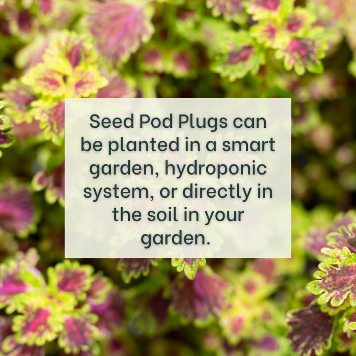 Grow Your Own Seed Pod - Complete Seed Pod Plugs with Plant Food (add Your own Seeds) - 10 Pods for Hydroponic Gardens, Click and Grow, Lettuce Grow and Outdoor Gardens