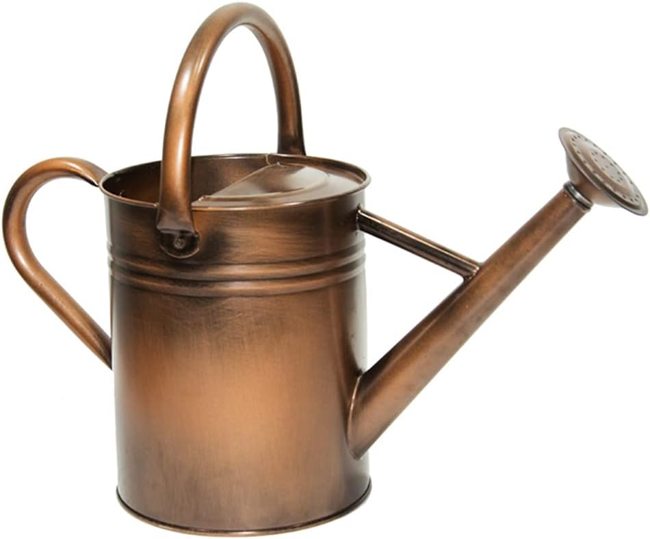 Galvanized Metal Watering Can, One Gallon Watering Cans for Outdoor Indoor Garden Plants Watering with Luminous Panit