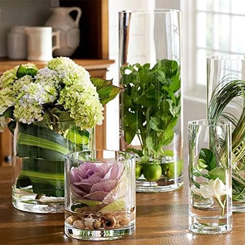 Kingbuy Glass Tube Wall Planter Propagation Station - 4 Pack Terrarium Cylinder Wall Vase with Plant Holder Hydroponic Planter for Home Kitchen Office Decor, Perfect Plant Lover Gifts (Short Cylinder)