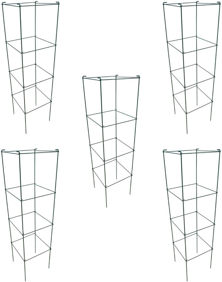 MTB Green Square Folding Tomato Cage Plant Support Tower 12 inch by 46 inch, Pack of 5 Sets