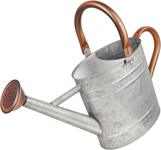 1 Gallon Metal Watering Can with Removable Spout, Nice Galvanized Steel Water Can with Embossed Design for Indoor and Outdoor Plants