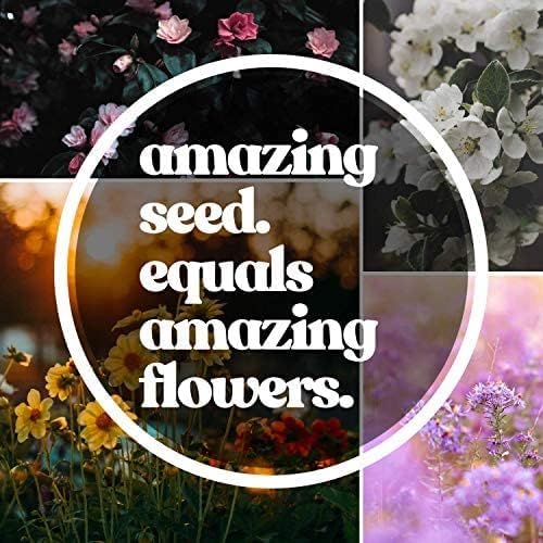 Pacific Northwest Wildflower Seeds for Planting - 4 Oz ~160,000+ Non-GMO Seeds - 25 Varieties Including Lupine, Columbine, Baby Blue Eyes & More - Pollinator Friendly Bulk Mix