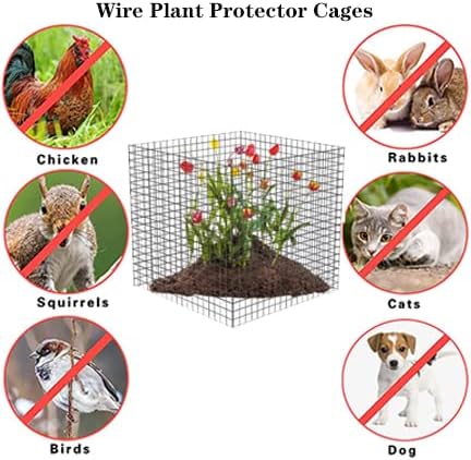 Small Wire Plant Protectors, 6 Pack Square Plant Protectors from Animals Mesh Plant Cage Chicken Wire Cover for Protect Plants, Garden,Shrubs and Vegetables from Animals(12x12 in)