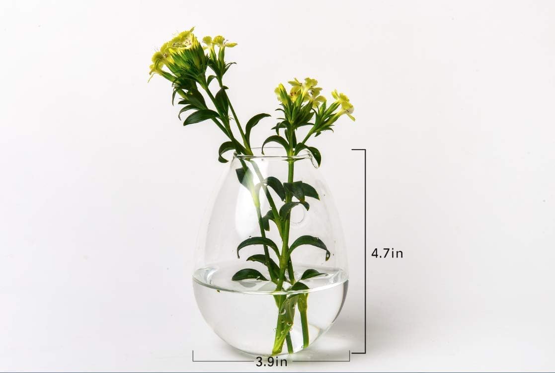 Kingbuy Wall Hanging Propagation Station Glass Plant Terrarium Container Egg Shape for Propagating Hydroponic Plants Home Office Garden Decor Wedding, 4 Pack