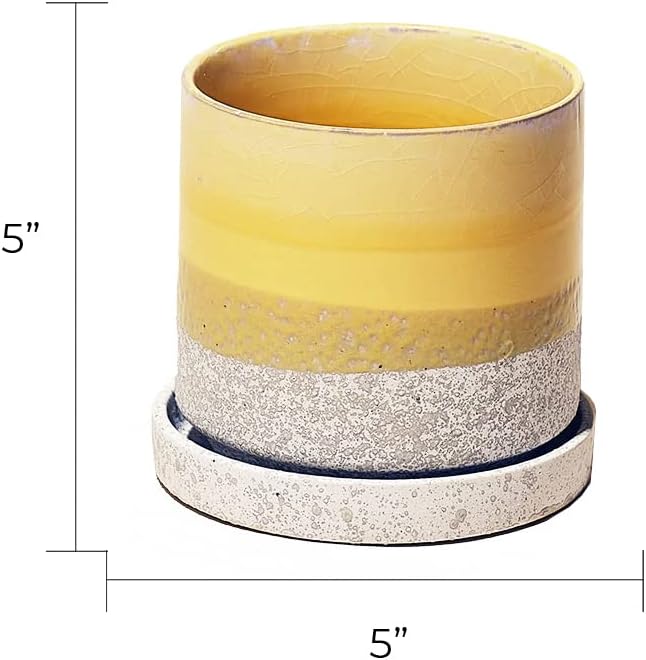 CHIVE - Minute, Succulent, Cactus Pot and Saucer Ceramic Flower and Plant Container with Drainage Hole and Detachable Saucer Great for Indoor/Outdoor Garden Decor (Yellow)