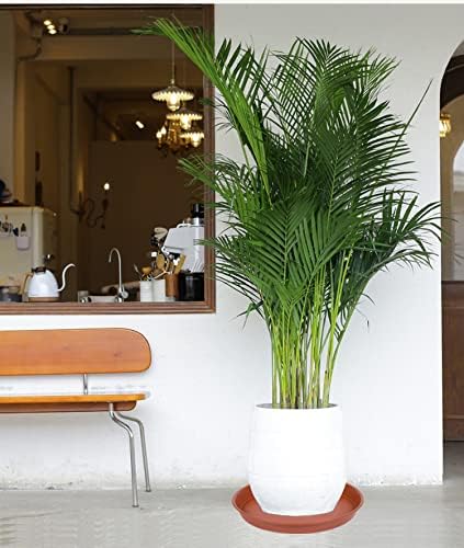 2 Pack of 16 17 inch Plant Saucer Tray (15 inch Base), 2.3" Depth, Heavy Duty Plastic Saucer 16" Round, Plant Tray for Pots, Flower Plant Saucers for Indoors (17 inch, Terracotta)