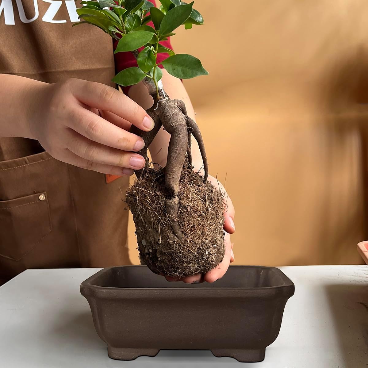 MUZHI 2PACK Unglazed 6” Ceramic Bonsai Pot with Humidity Trays, Breathable Handmade Rectangle Bonsai Starter Planter for Bonsai Tree, Juniper,Ficus, Money Tree