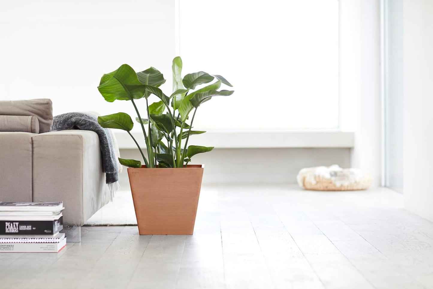 Ecopots Rotterdam Durable Modern Square Indoor/Outdoor Recycled-Based Composite Flower Planter, Terracotta Color, 12"