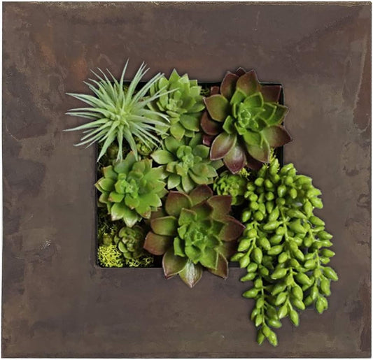 Modern Home Living Wall Galvanized Steel/Zinc Succulent Planter (Rust Zinc, 4 Pocket)