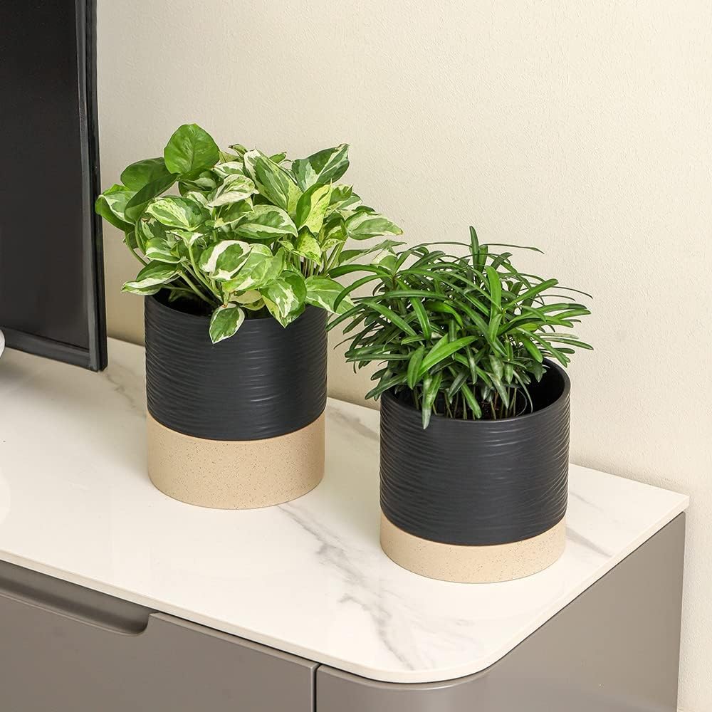Nihow Ceramic Plant Pot: 6 Inch Planter with Drainage Hole & Saucer for Indoor & Outdoor Plants - Cylinder Round Flower Pot for Succulent/Herbs/Violets - Black & Brown