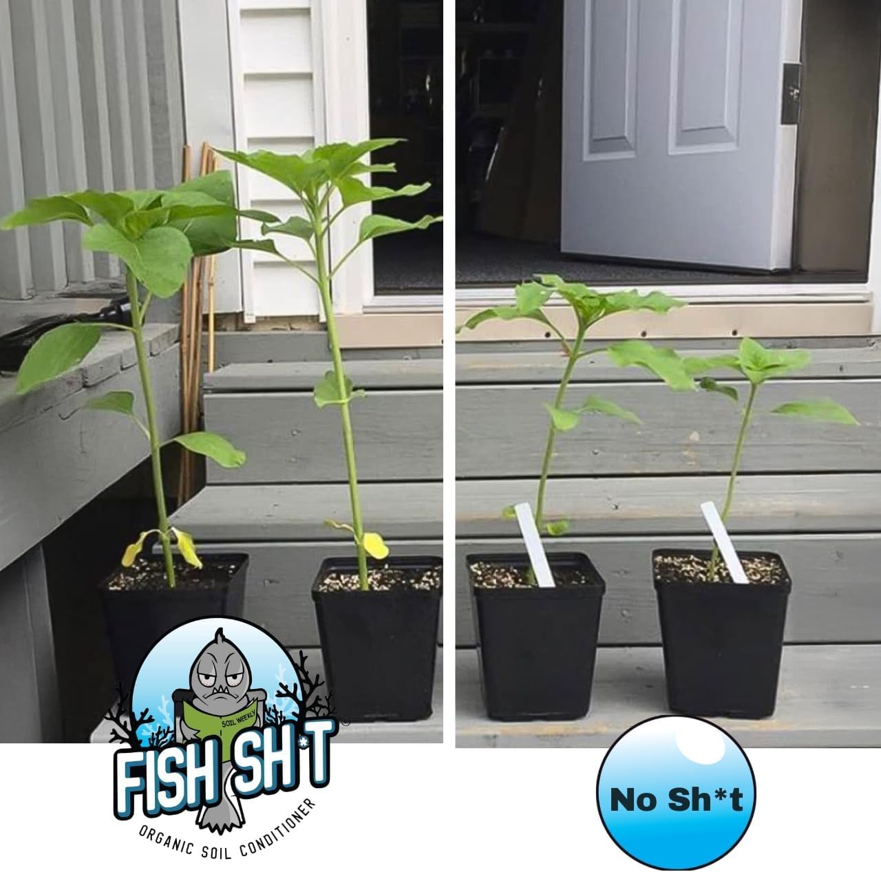 Fish Head Farms Organic Soil Conditioner for Yield and Flavor Enhancement. Improves Fertilizer Efficiency. Useful in Both Garden Soil and Hydroponics Applications (1 Liter with Garlic Chives)