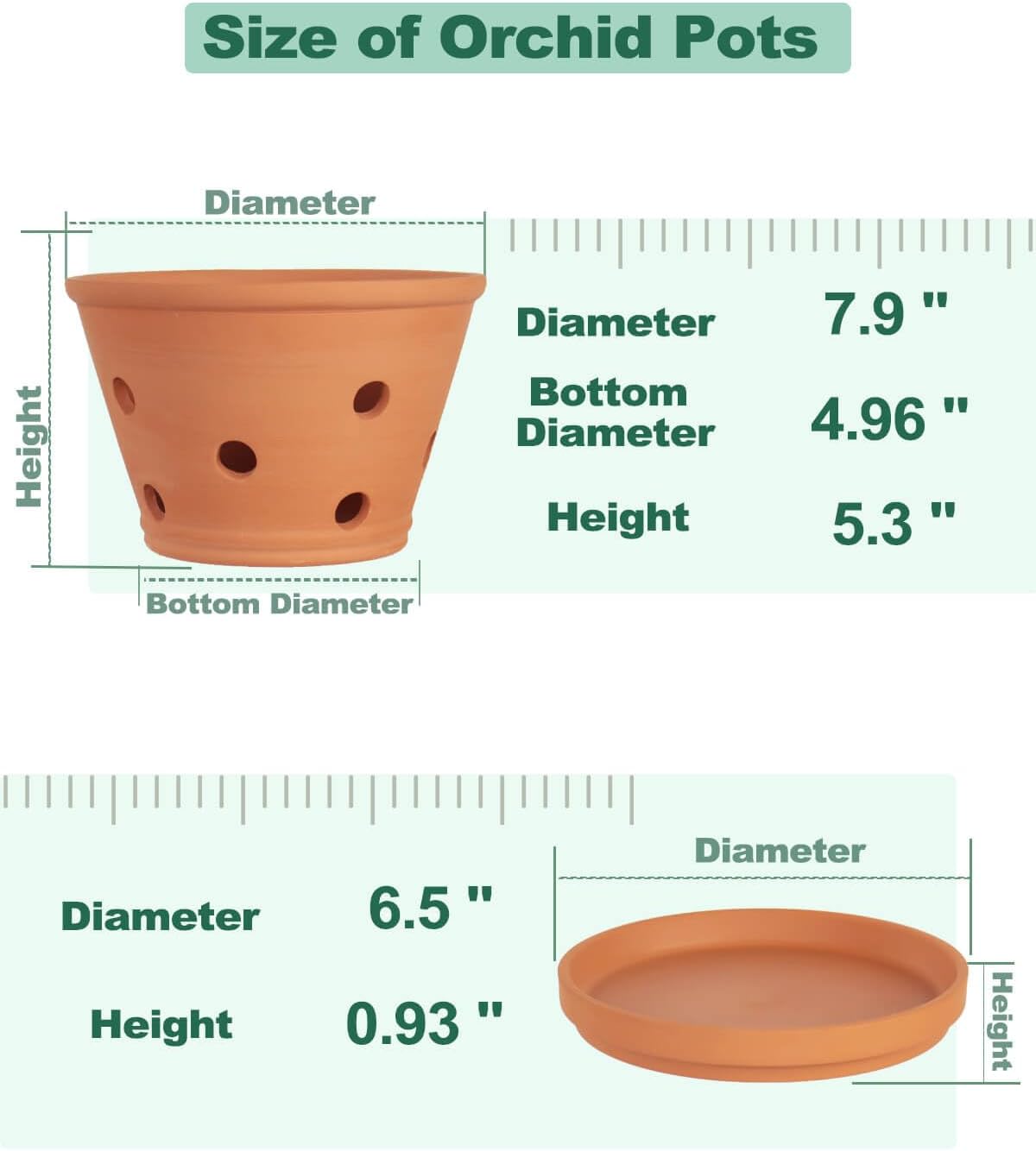 vensovo 8 Inch Terracotta Orchid Pots with Holes and Saucers - 2 Pcs Large Clay Planters for Repotting, Terra Cotta Pot for Plants Indoor and Outdoor Promotes Air Circulation