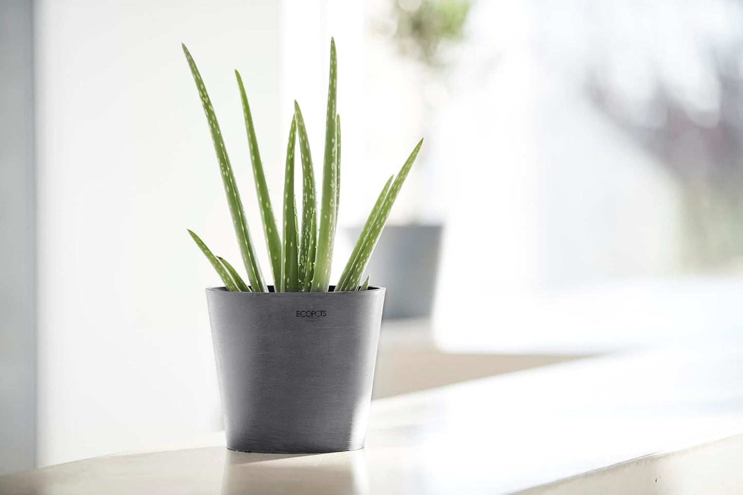 Ecopots Amsterdam Mini Durable Modern Round Recycled-Based Composite Flower Pot Planter, Grey, 7"