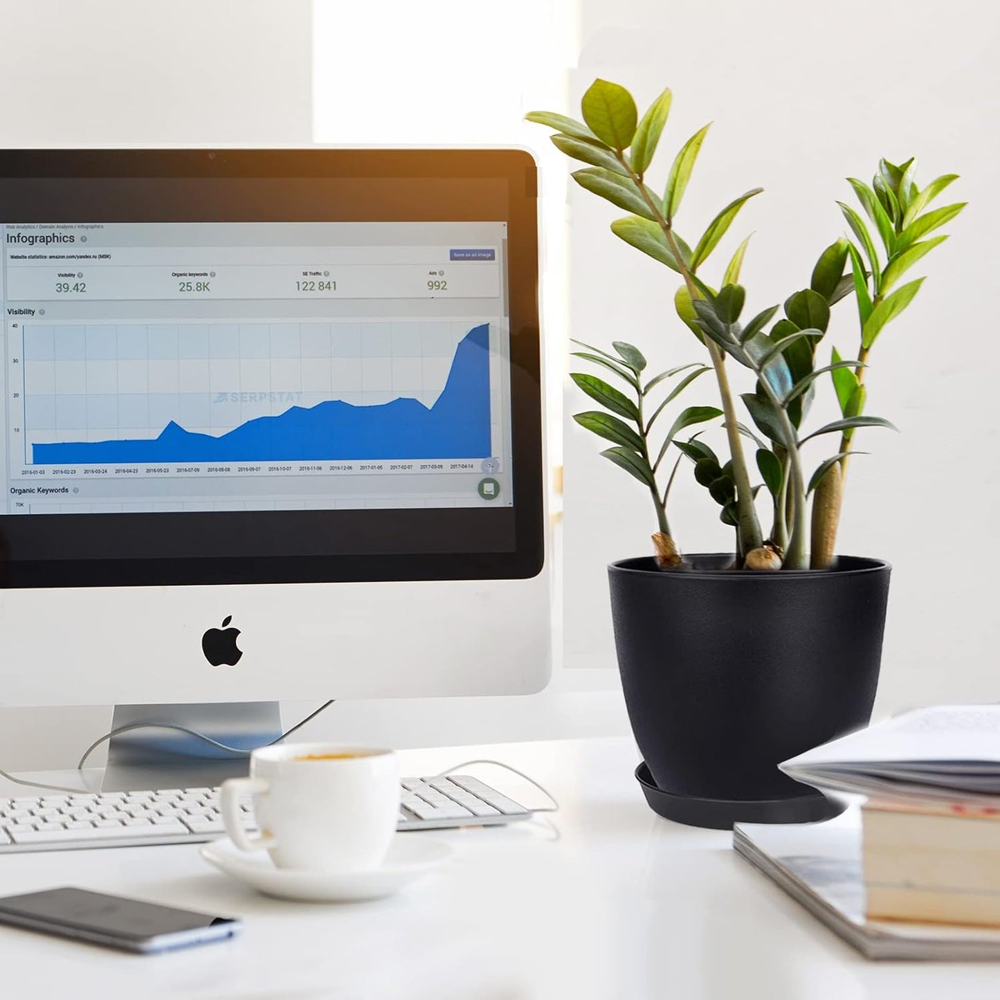 Plant Pots, 12 Pack 6 inch Modern Plastic Planters with Drainage Holes and Saucers for Indoor Outdoor Plants and Flowers, Black