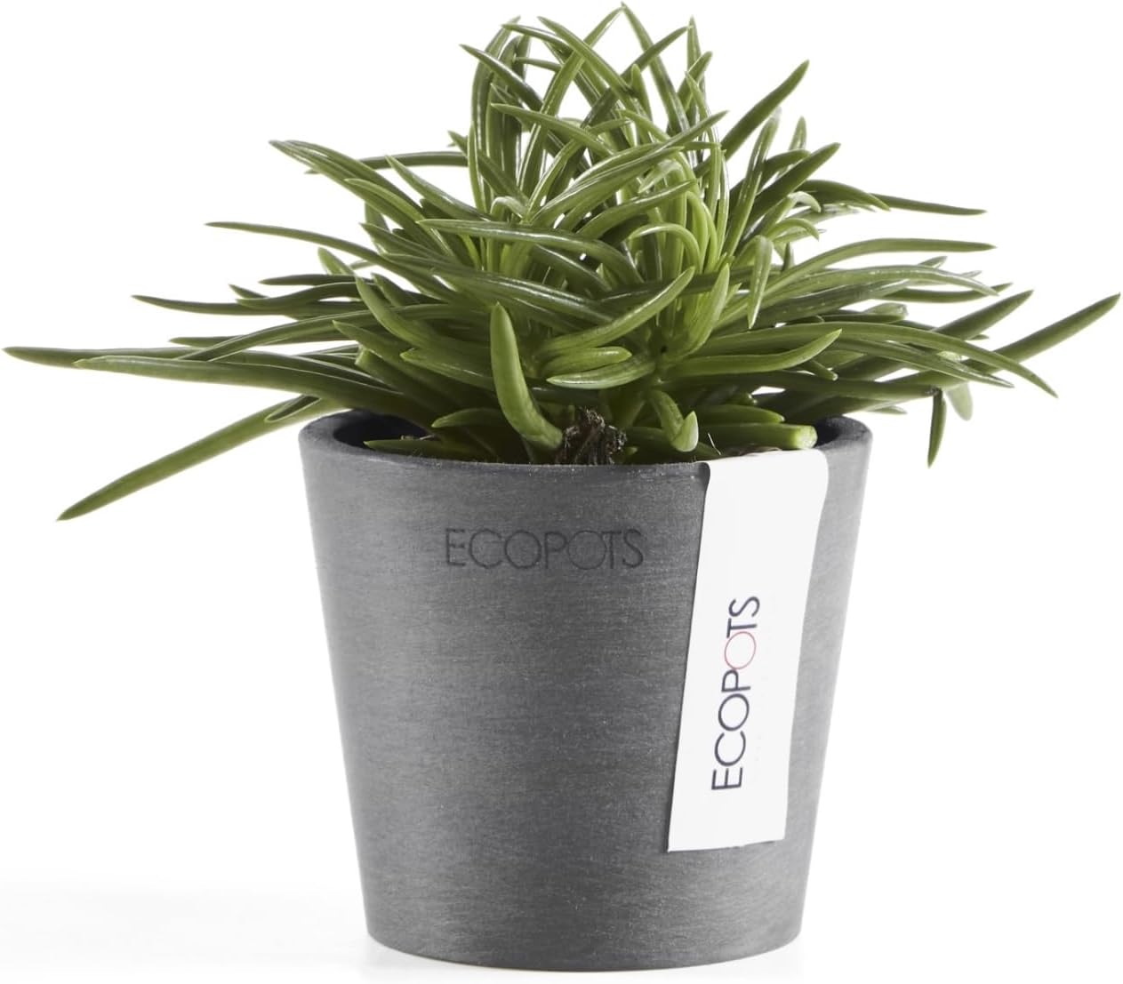 Ecopots Amsterdam Mini Durable Modern Round Recycled-Based Composite Flower Pot Planter, Grey, 3"