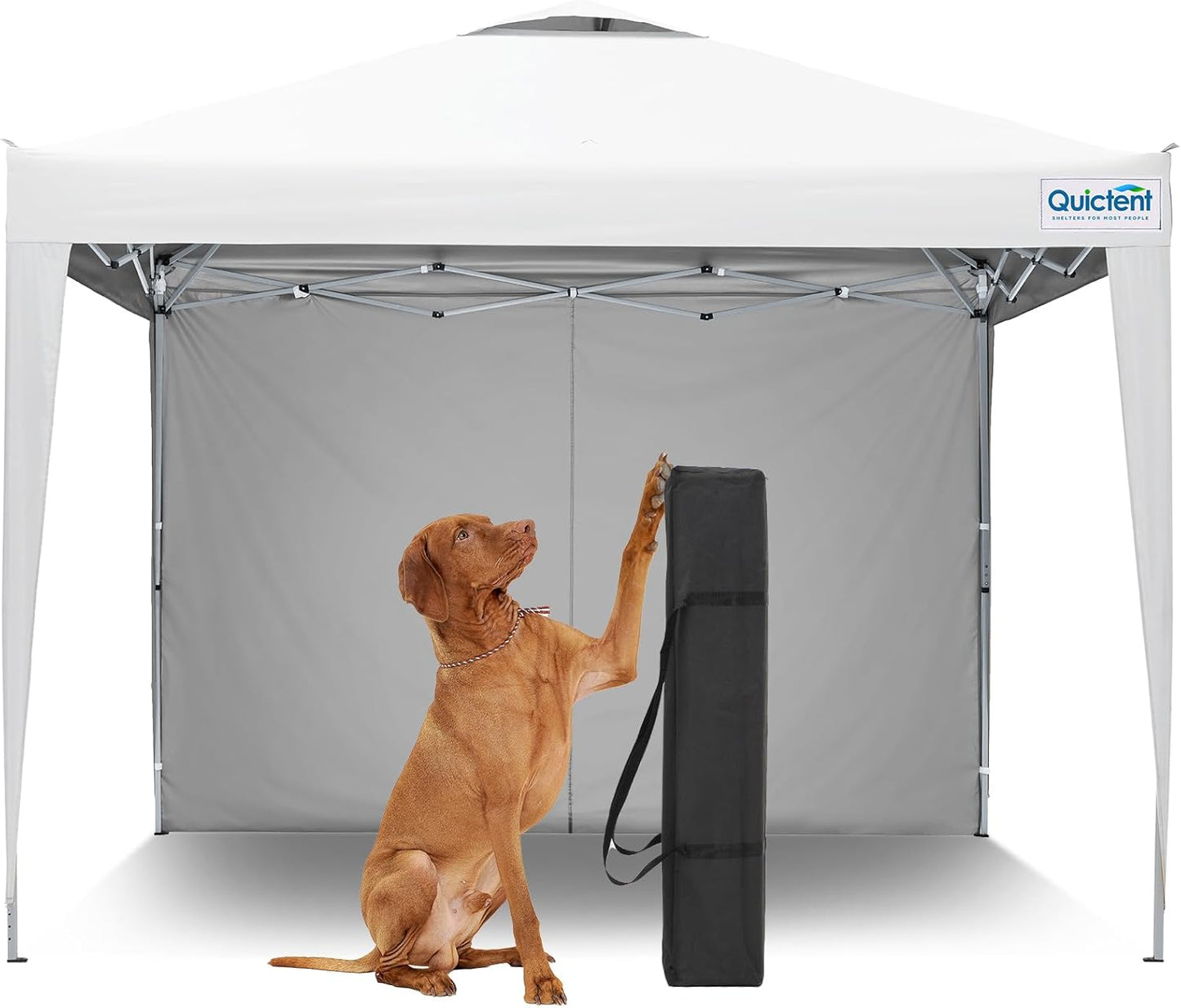 Quictent 10x10 Pop Up Canopy Tent, Instant Setup Gazebo for 1 Person, Portable & Compact, Waterproof & UV Protection, Ideal for Camping, Beach, Parties, and Outdoor Events