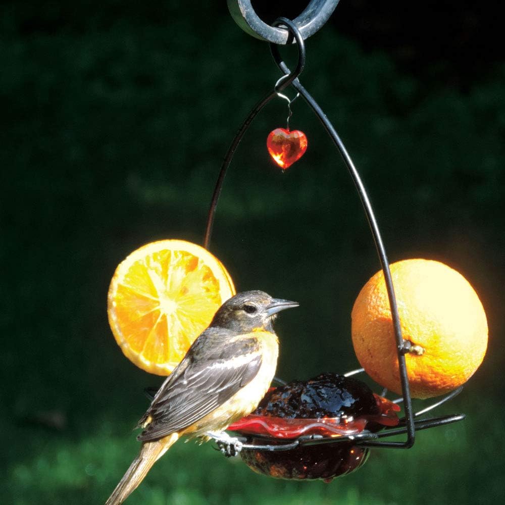 Birds Choice Oriole Bird Feeder | Flower-Shaped Hanging Bird Feeder for Jelly & Orange Halves | Removable Cup & Fruit Pegs with Heart Ornament | Sturdy for Garden & Backyard | 3 oz Capacity, Orange