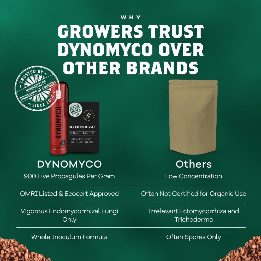 DYNOMYCO Granular Mycorrhizal Fungi Inoculant, 200g / 7oz – Boosts Root Growth, Yields & Nutrient Uptake – 900 Propagules/g, Concentrated Granules, & OMRI Listed – Biofertilizer for Plant Growth