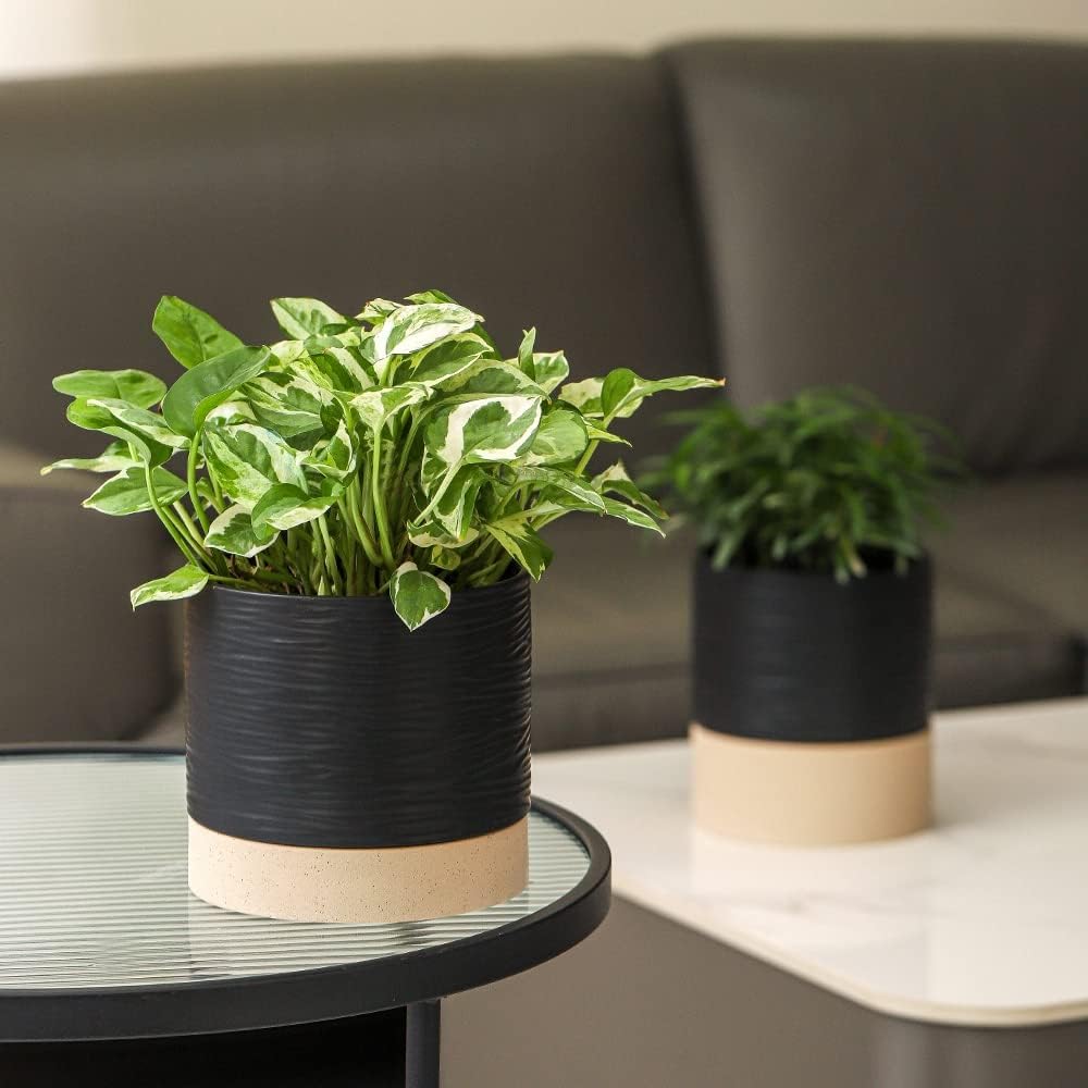 Nihow Ceramic Plant Pot: 6 Inch Planter with Drainage Hole & Saucer for Indoor & Outdoor Plants - Cylinder Round Flower Pot for Succulent/Herbs/Violets - Black & Brown