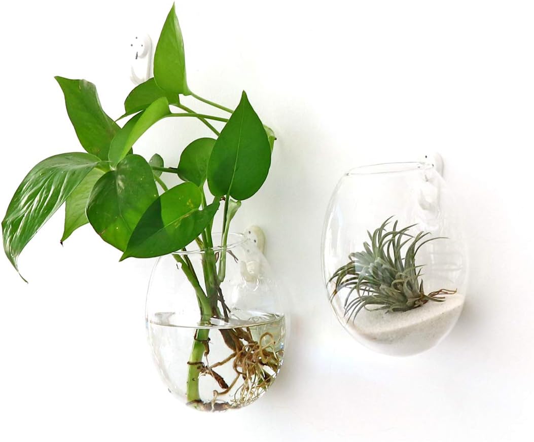 Kingbuy Wall Hanging Propagation Station Glass Plant Terrarium Container Egg Shape for Propagating Hydroponic Plants Home Office Garden Decor Wedding, 4 Pack