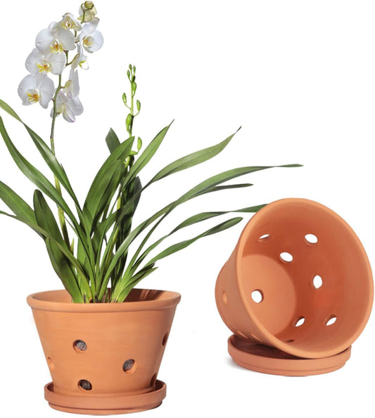 vensovo 8 Inch Terracotta Orchid Pots with Holes and Saucers - 2 Pcs Large Clay Planters for Repotting, Terra Cotta Pot for Plants Indoor and Outdoor Promotes Air Circulation