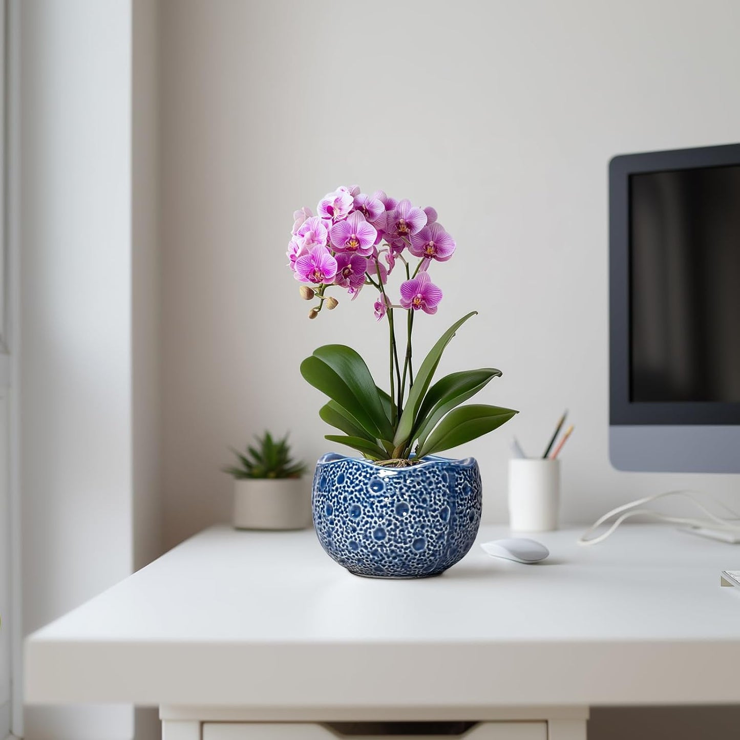 Orchid Pot - 6 Inch Ceramic Plant Pot for Indoor Outdoor, Round Unique Planters with Drainage Hole, Modern Round Decorative Flower Pots, Home Decor, Gifts for Plant Lovers, Blue