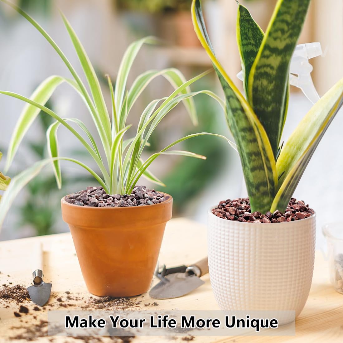 2LB Succulent and Cactus Gravel Pebbles, 1/5 Inch Natural Decorative Polished Stones, River Rocks for Vases Gardening Indoor and Outdoor Decorative Rocks, Red