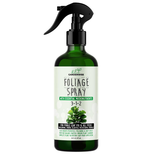 3-1-2 Fiddle Leaf Fig Foliar Spray - Plant Shine & Fertilizer - Premium Spray for Indoor Plants with Essential Nutrients - Fiddle Leaf Fig Plant Food & Fertilizer - Ready-to-Use (16 OZ)