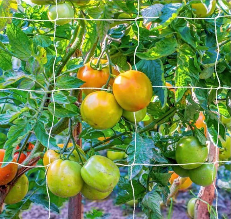 OLDMACDONALD Heavy Duty Polyester Trellis Netting Bulk Roll, 6.5ft x 350ft (79” x 350’ | 2.04m x 106.7m), 6" (15 cm) Squares, Heavy Duty Scrog Net Climbing Plants