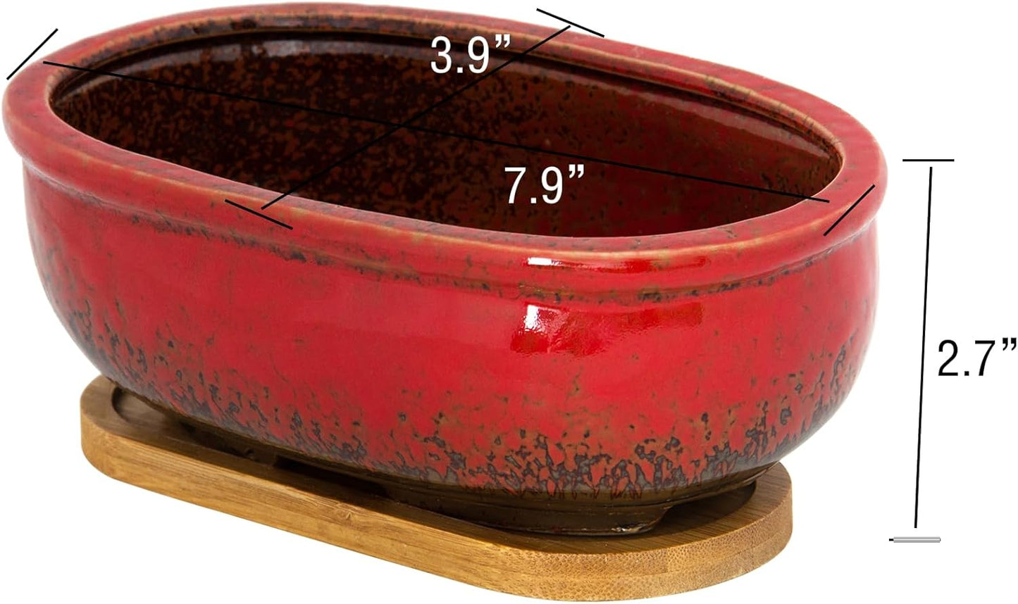 Succulent Pots, 7.9 Inch Long Rectangular Succulent Planters with Drainage Tray, Shallow Planters for Indoor Plants Ceramic Cactus Pots Glazed Bonsai Flower Plant Container for Home Windowsill Decor