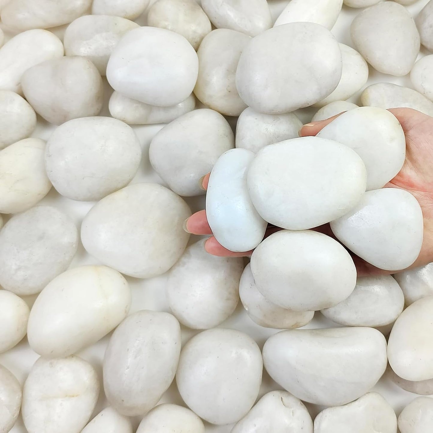 5 lbs Large White River Rocks, 2-3 inch Pebbles for Indoor Plants, Polished Decorative Stones for Planters Vase Aquarium and Outdoor Garden Landscaping Rocks
