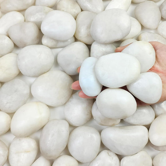 5 lbs Large White River Rocks, 2-3 inch Pebbles for Indoor Plants, Polished Decorative Stones for Planters Vase Aquarium and Outdoor Garden Landscaping Rocks