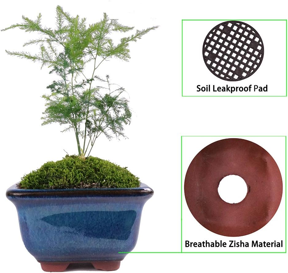 MUZHI 6PACK Glazed Bonsai Pot Planter 3" 4” Small Succulent Pots, Yixing Zisha Decorative Mame Bonsai Training Pot or Small Flower Cactus Starter Growing Planters Containers Blue