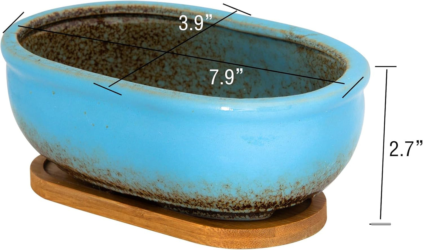 Succulent Pots, 7.9 Inch Long Rectangular Succulent Planters with Drainage Tray, Shallow Planters for Indoor Plants Ceramic Cactus Pots Glazed Bonsai Flower Plant Container for Home Windowsill Decor