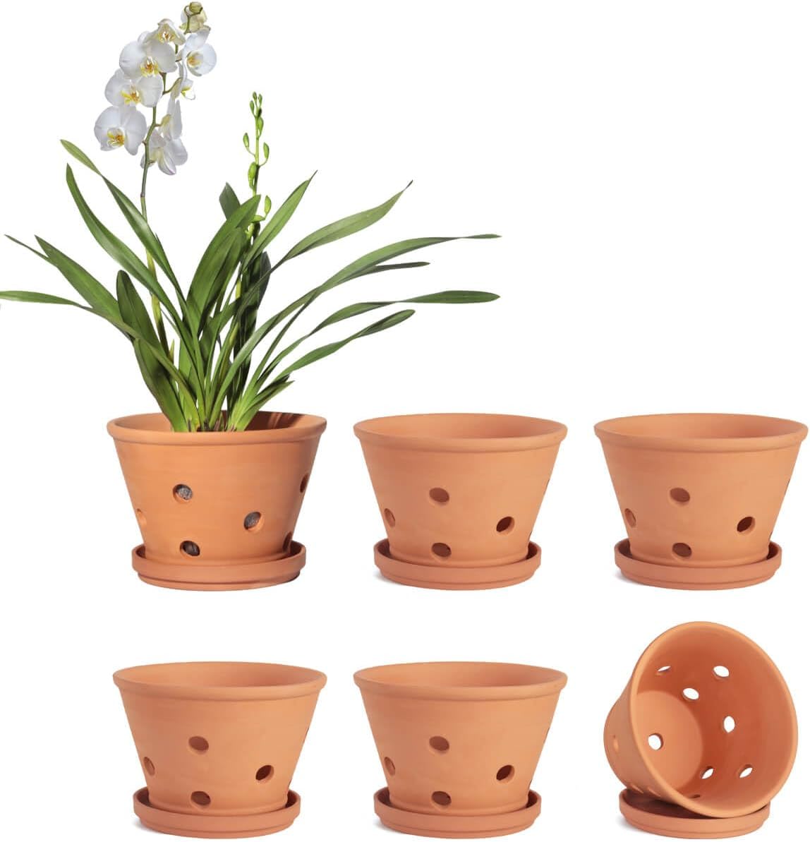 vensovo 4 Inch Terracotta Orchid Pots with Holes and Saucers - 6 Pcs Small Clay Planters for Repotting, Terra Cotta Pot for Plants Indoor and Outdoor Promotes Air Circulation
