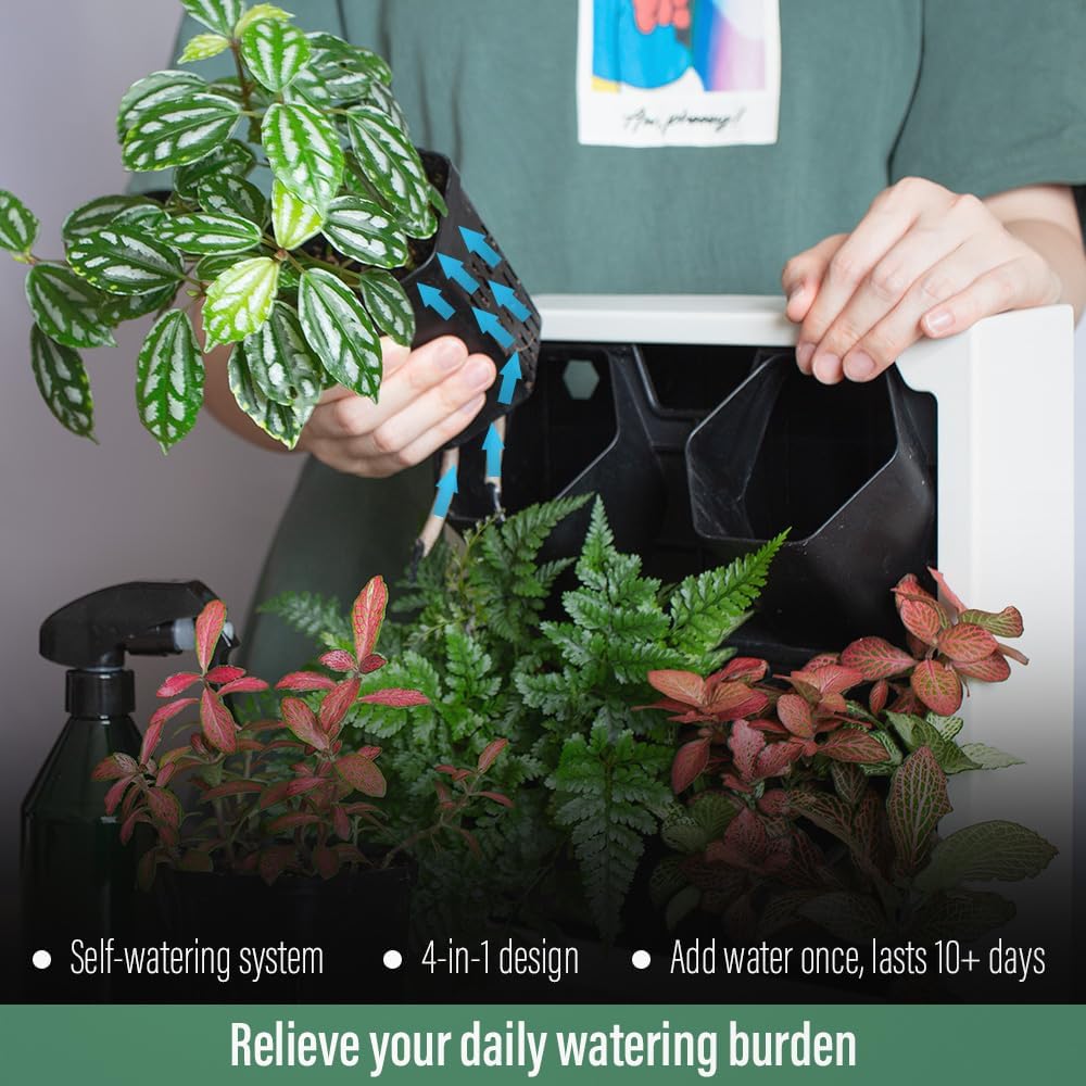 Self Watering Wall Planter with 4 Pots - Easy to Create Indoor Living Wall for Home, Office and Shop Front - Includes Water Gauge (White)