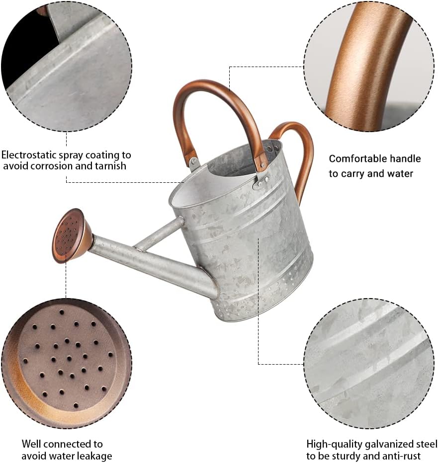 1 Gallon Metal Watering Can with Removable Spout, Nice Galvanized Steel Water Can with Embossed Design for Indoor and Outdoor Plants