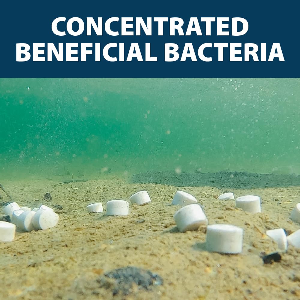 Airmax MuckAway Natural Beneficial Bacteria for Outdoor Ponds & Lakes, Muck, Sludge & Noxious Odor Solution, Easy to use Enzyme Tablets, Cleaner Beach & Shoreline, Fish, Pet & Wildlife Safe, 8 Scoops