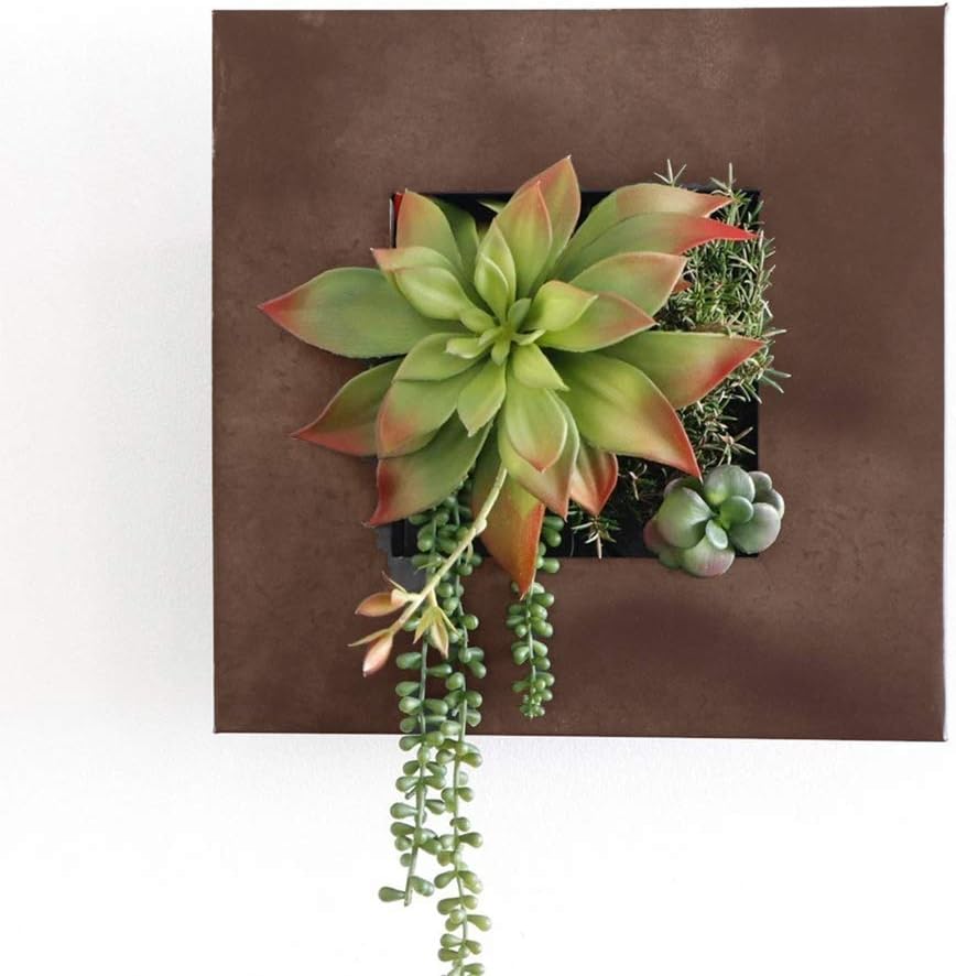 Modern Home Living Wall Galvanized Steel/Zinc Succulent Planter (Rust Zinc, 4 Pocket)