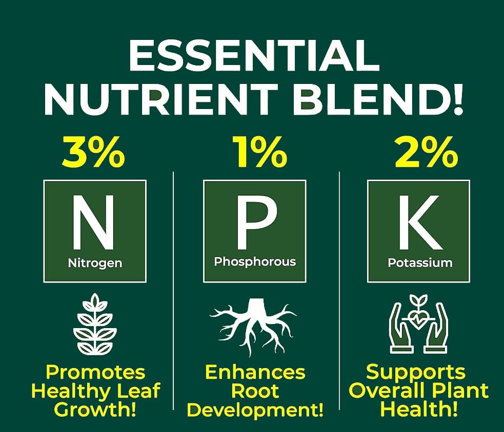 Proffesional Dracaena Spray Fertilizer Mist for Home Gardening | 3-1-2 Gentle Blend Mist for Healthy Leaves & Growth | Essential Nutrients for Dracaena Plants - 8oz