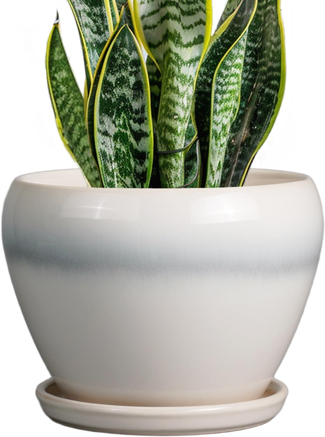 Ceramic Planter - 8 Inch Plant Pot with Drainage Hole and Saucer, Glaze Round Flower Pot for Home Garden Patio Office, White
