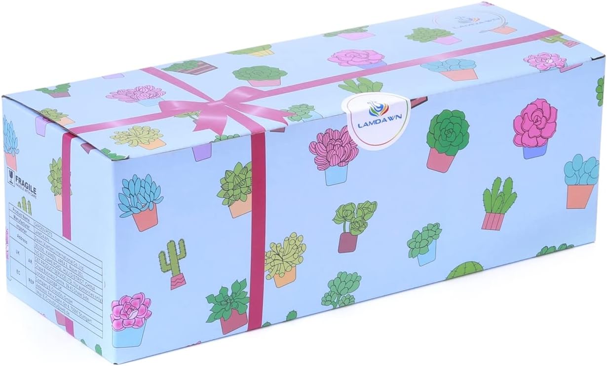 Cute Ceramic Succulent Garden Pots, Planter with Drainage and Attached Saucer, Set of 5 -Plants Not Included (Vivid Colors)