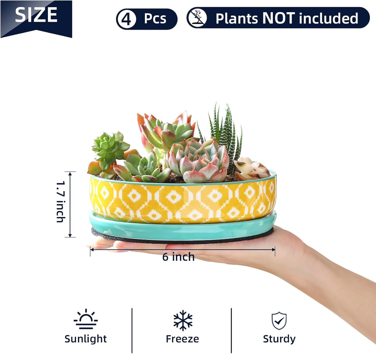 Selamica Ceramic Succulent Pots, 6 Inch Shallow Succulent Planters with Drainage Hole & Saucer, Indoor Plant Pots for Cactus, Herb, Home Decor, Set of 4, Assorted Colors