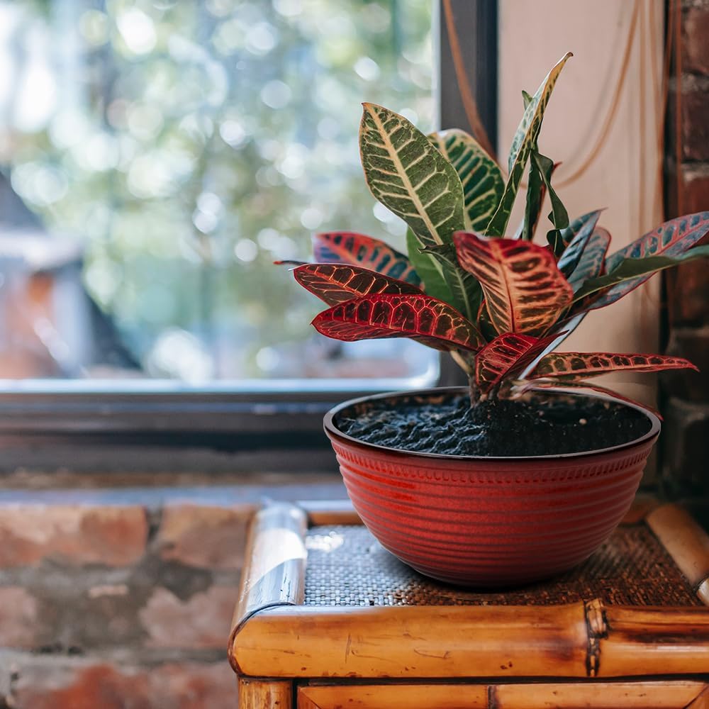 2 Pack 10 Inch Plant Pots,Durable Decorative Flower Pots Planters with Drainage Hole for Indoor and Outdoor Plants,Flowers,Succulents, Red