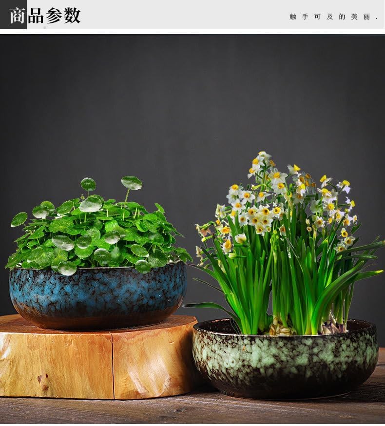 Lotus Bowl Planter, Lotus Bowls for Planting in Water Indoors, Ceramic Planters for Indoor Plants, Thickened Round Planter, for Succulent Plants Leak-Proof Design (Dark Blue)