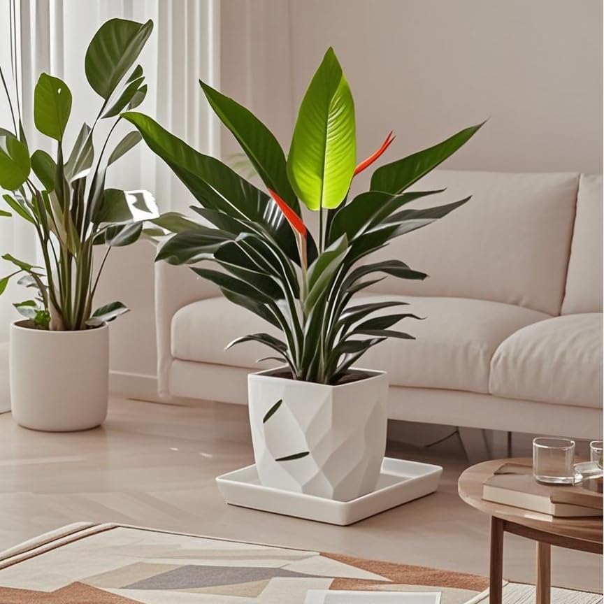 Square Plant Saucer 12 Inch 1 Pack，Plant Trays for Pots, White Ceramic Plant Saucers for Indoors Outdoors, Plant Drip Tray 4 6 8 10 12 14 Inch