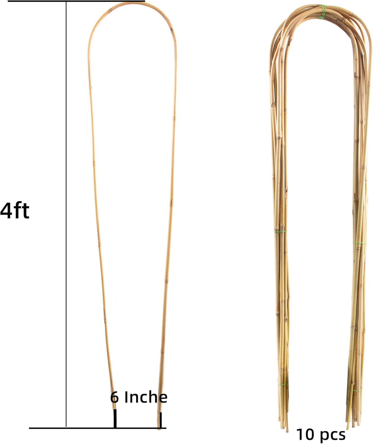 Avalution 10 Pcs Natural U-Hoops Bamboo Garden Trellis, 4 Ft Bamboo Trellis U-Shape Plant Support for Climbing Plants Indoor and Outdoor Use