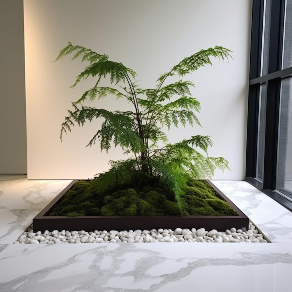 2 LBS River Rocks, StoneCreek, Decorative Garden Stones for Plant Landscaping, Polished Gravel Filler Pebbles for Home Decoration, Vases, Succulents, Flower Beds and Fish Tanks (White, Medium)